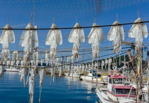 Dried squid hanging on string at Yobuko Port located on the Higashi Matsuura Pen Stock Photos