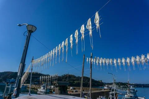 Dried squid hanging on string at Yobuko Port located on the Higashi Matsuura Pen Stock Photos