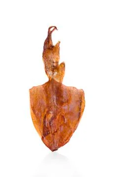 Dried squid isolated on white background Stock Photos
