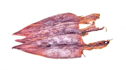 Dried squid isolated on white background Stock Photos