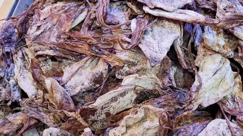 Dried Squid or Cuttlefish Video stock 320146260