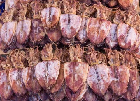 Dried squid Stock Photos