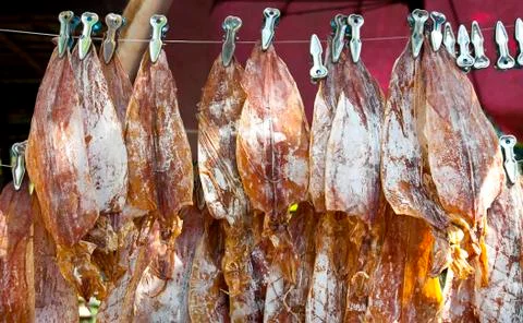 Dried squid Stock Photos