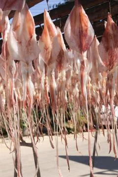 Dried squid Stock Photos