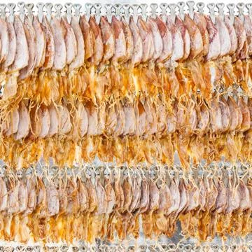 Dried squid Stock Photos
