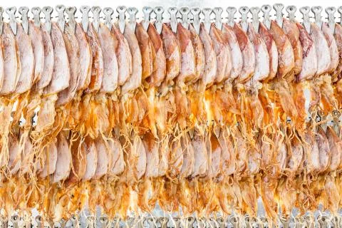 Dried squid Stock Photos