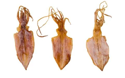 Dried squid Stock Photos