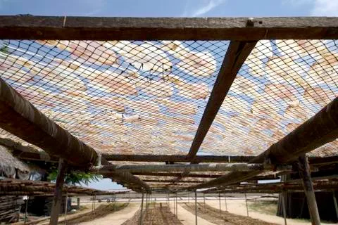 Dried squid Stock Photos