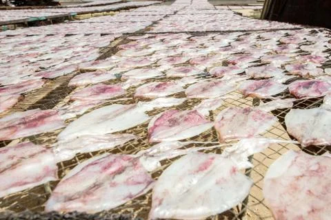 Dried squid Stock Photos