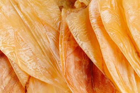 Dried squid Stock Photos