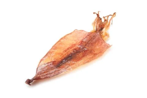 Dried squid Stock Photos