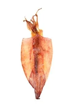 Dried squid Stock Photos