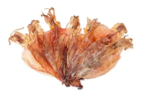 Dried squid Stock Photos