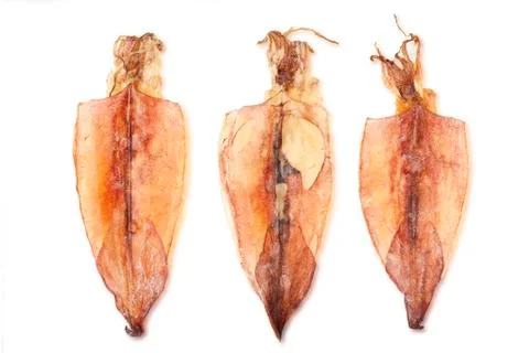 Dried squid Stock Photos