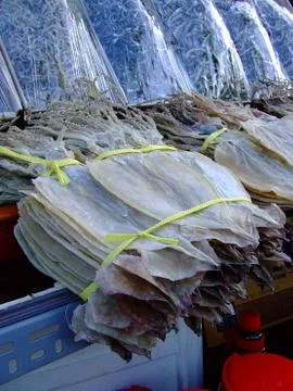 Dried squid Stock Photos