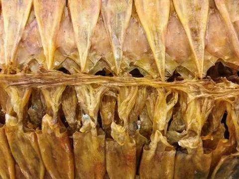 Dried squid Stock Photos