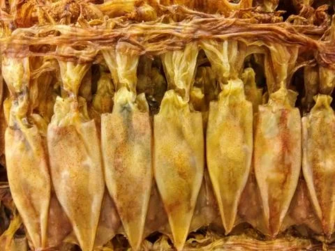 Dried squid Stock Photos
