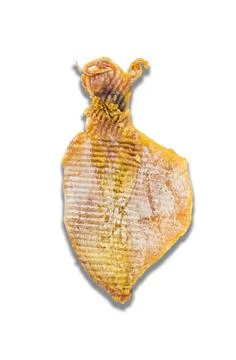 Dried squid. Stock Photos