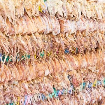 Dried squid showing for sell Stock Photos