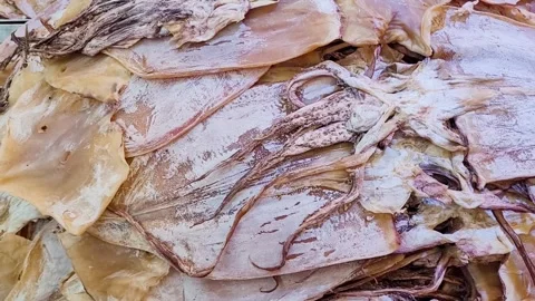 Dried Squid with Visible Tentacles and White Salty Coating Video stock 320146211