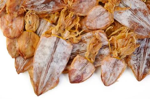 Dried squid on white background Stock Photos