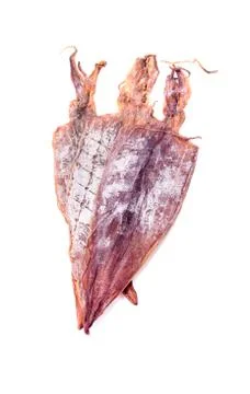 Dried squids on white background Stock Photos