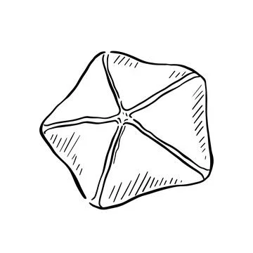 Dried starfish drawing Stock Illustration