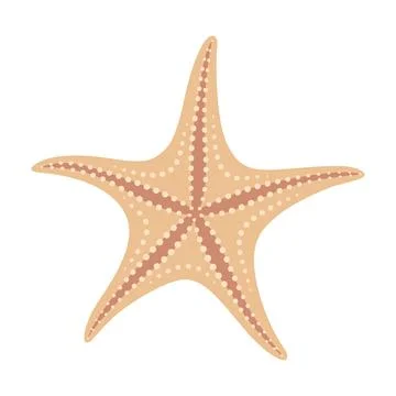 Dried starfish. Starfish flat icon. Sea animal cartoon style. Echinoderm. Stock Illustration