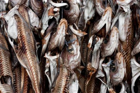 Dried stockfish Stock Photos