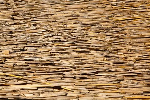 Dried straw background 스톡 사진
