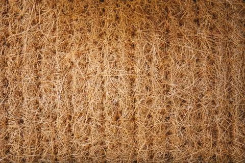 Dried straw plants pack for wall, roof, hut. Abstract textured background. Stock Photos