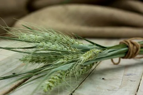 Dried straw on a rustic surface Stock Photos