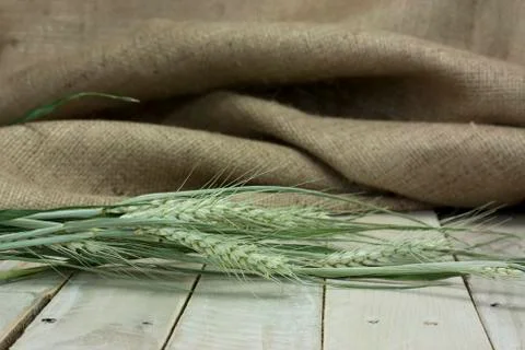 Dried straw on a rustic surface Stock Photos