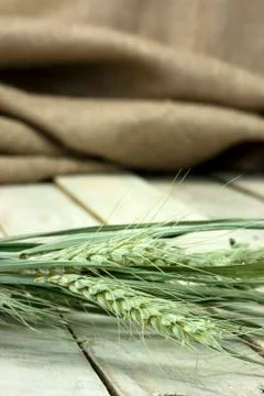 Dried straw on a rustic surface Stock Photos