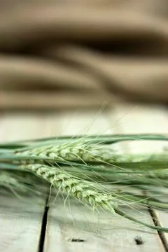 Dried straw on a rustic surface Stock Photos