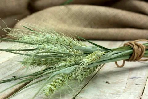 Dried straw on a rustic surface Stock Photos