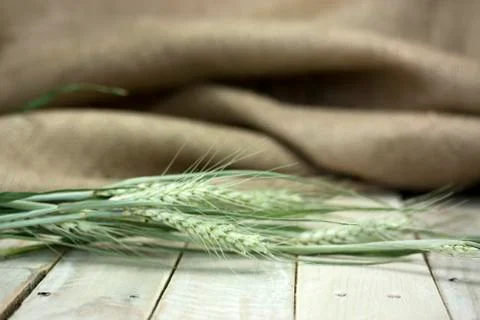 Dried straw on a rustic surface Stock Photos