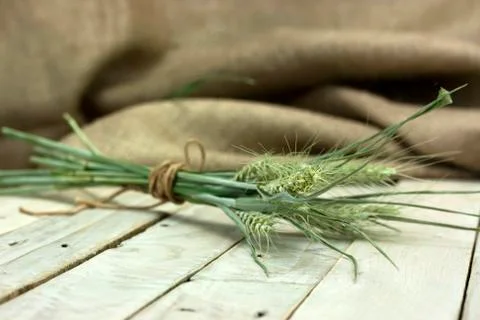 Dried straw on a rustic surface Stock Photos