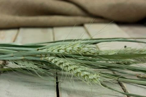 Dried straw on a rustic surface Stock Photos