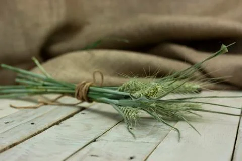 Dried straw on a rustic surface Stock Photos