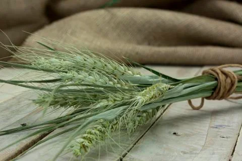 Dried straw on a rustic surface Foto stock