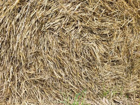 Dried straw stack background animal feed Stock Photos