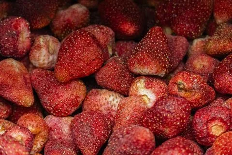 Dried Strawberries Close Up Stock Photos