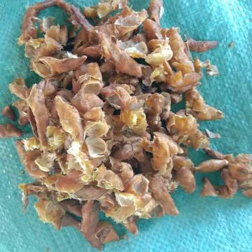 Dried Tamarind Фото