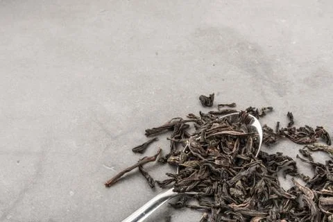 Dried tea and a spoon on a gray textured background. Stock Photos