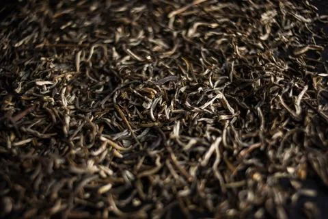 Dried tea leaves form a pattern on a dark metal surface Foto stock