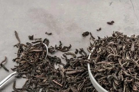 Dried tea in a white ceramic cup with a spoon on a gray textured background. Stock Photos