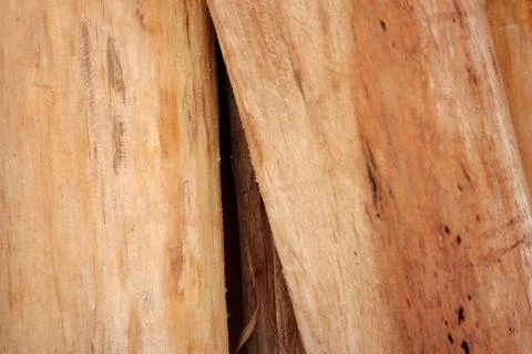 Dried teak texture for building materials Stock Photos