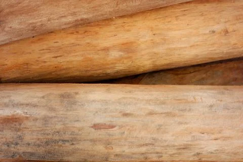 Dried teak texture for building materials Stock Photos