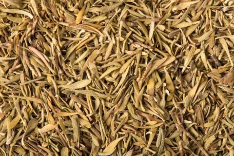 Dried Thyme - Frame Stock Photos
